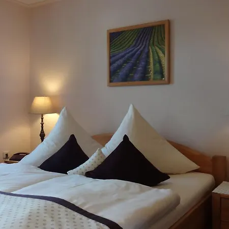 Logis L'auberge Gutshof Hotel 2*