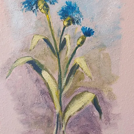 Hotel Logis L'auberge Gutshof 2*