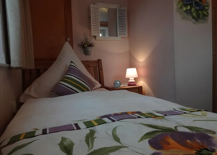 فندق Logis L'auberge Gutshof