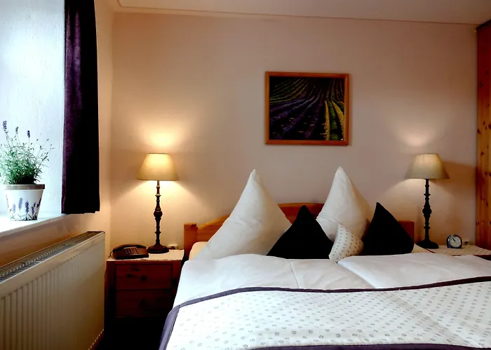 فندق Logis L'auberge Gutshof