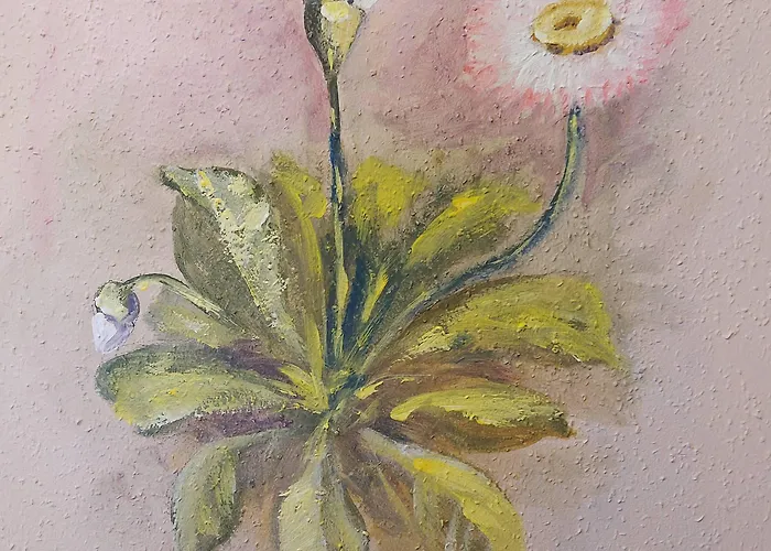 Logis L'auberge Gutshof فندق 2*